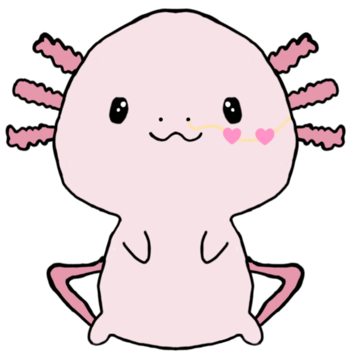 Axolotl with feeding tube