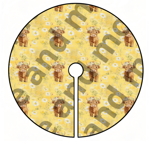 Yellow highland cow
