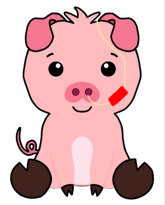 Cute piggy with feeding tube